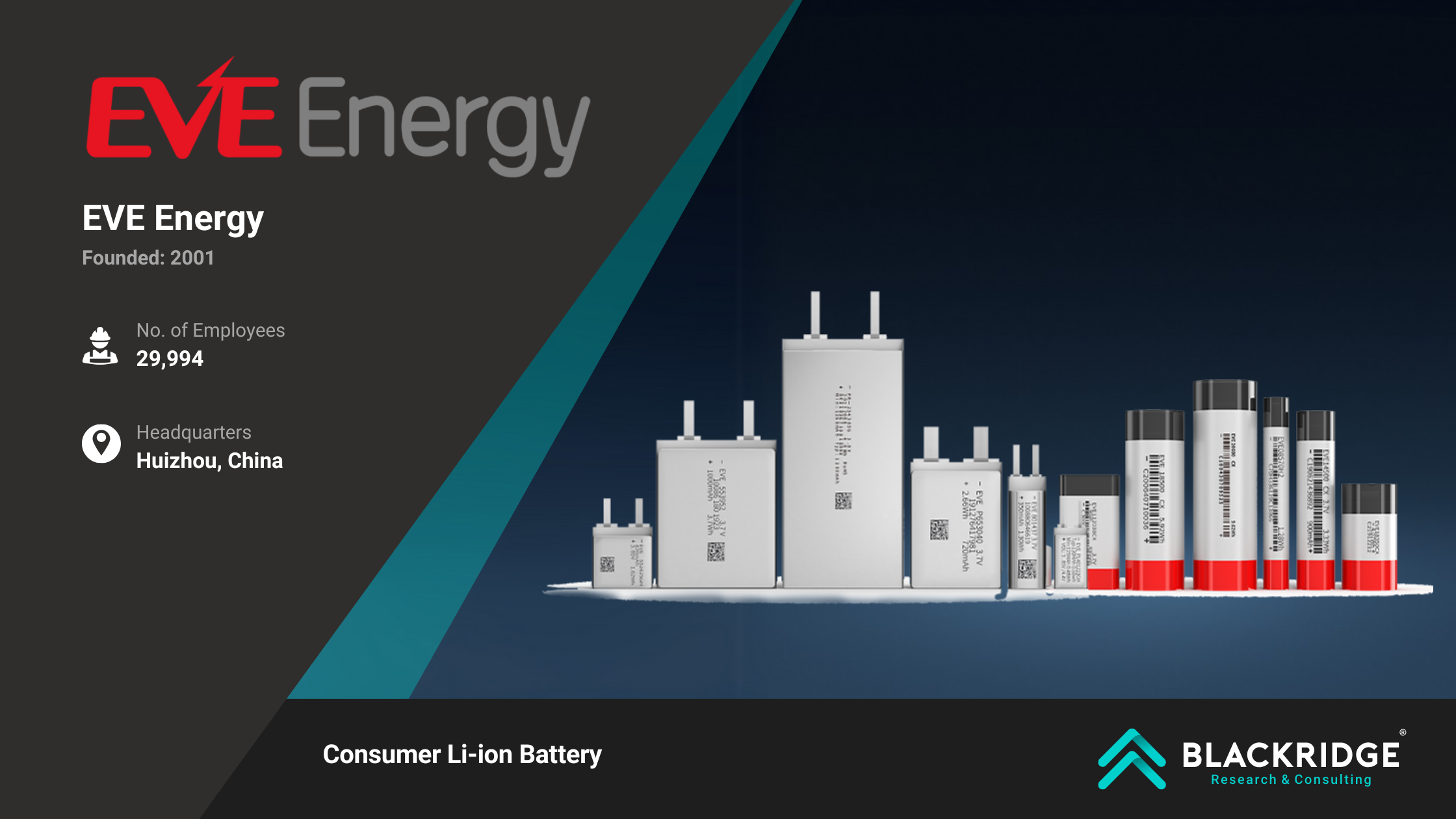 lithium-ion battery manufacturers